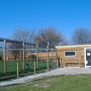 Eagle Heights cheetah cage