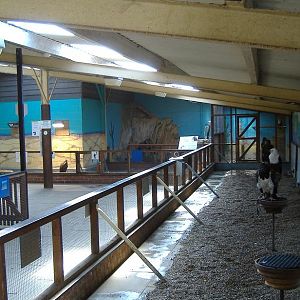 Eagle Heights interior