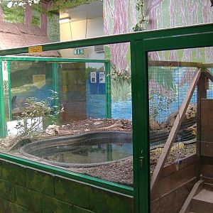Eagle heights reptile House