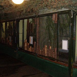 Edinburgh Bird House