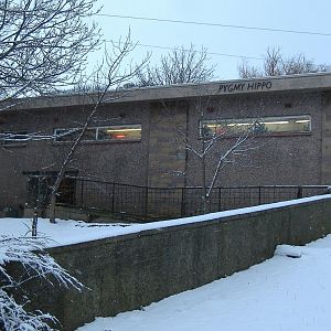 Edinburgh Hippo House