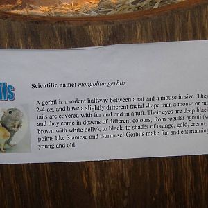 education education education