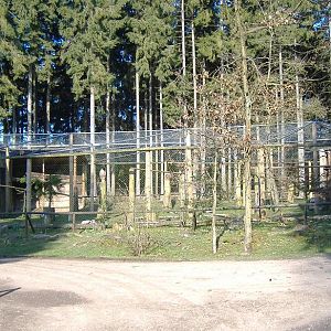 Hellenthal Vulture aviary