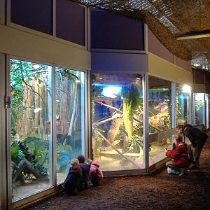 Lille reptile house