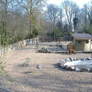 Lille SAmerican paddock