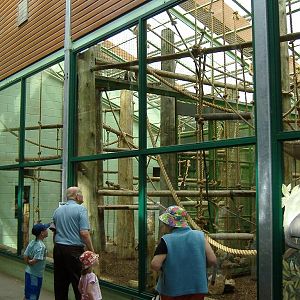 Marwell Diana Monkey exhibit interior