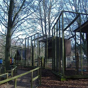 New Forest Otter Centre aviaries