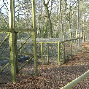 New Forest Otter Centre Marten cages
