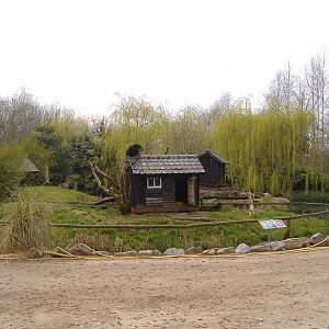 Olmense Zoo Binturong