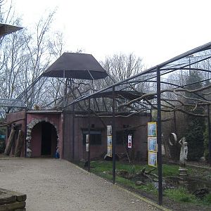 Olmense Zoo gibbons parrots