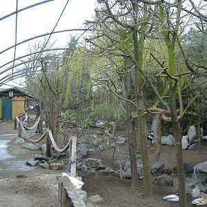 Olmense Zoo walk through aviary