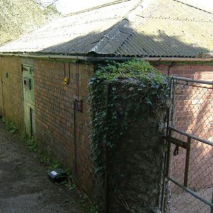 Paignton camel house