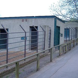 Paignton cattle sheds 2