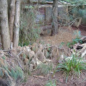 Paignton echidna pen