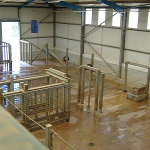 Paignton elephant house