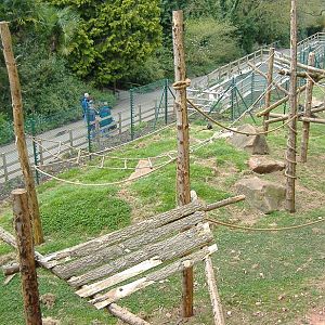 Paignton monkey heights 1