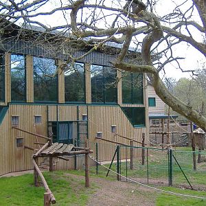 Paignton monkey heights 3