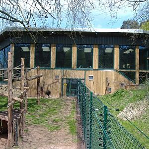 Paignton monkey heights 4