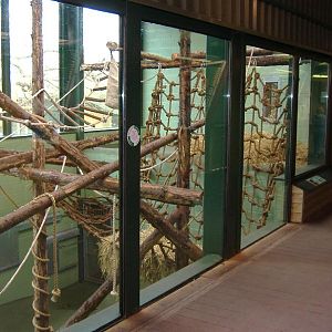 Paignton monkey heights interior