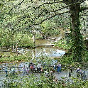 Paignton monkey islands