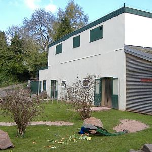 Paignton old giraffe house