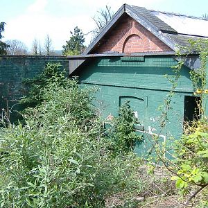 Paignton old monkey house orang cage