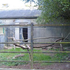 Paignton old ungulate house