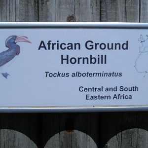 shocking error at Twycross