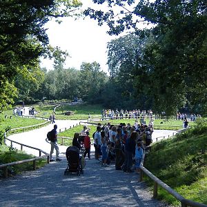 Trentham Gardens reserve