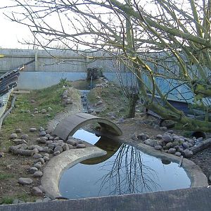 Vale Wildlife Rescue otter pool
