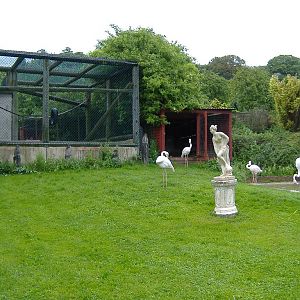 Wellplace Lemur cage