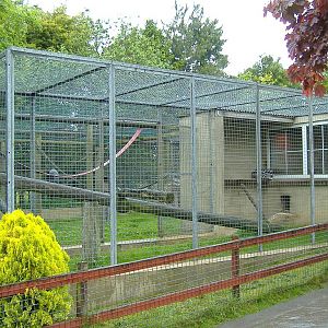Wellplace lemur cages