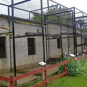 Wellplace parrot aviaries