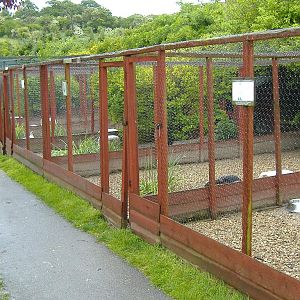 Wellplace Pheasant runs