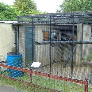 Wellplace Ruffed Lemur cage