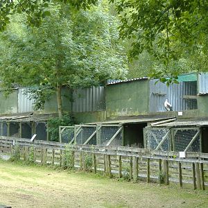 Welsh Hawking Centre 2