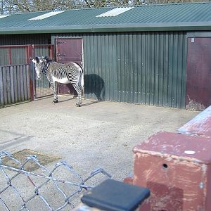 Whipsnade yard
