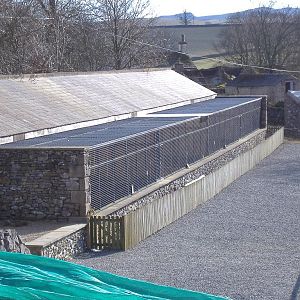 Yorkshire Dales Falconry aviaries