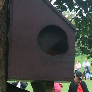 Nesting box