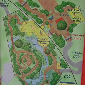 Wings of Asia - Miami Metrozoo