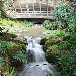 Waterfall Aviary exterior, Jurong BirdPark
