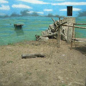 Mandrill enclosure - Beijing Zoo