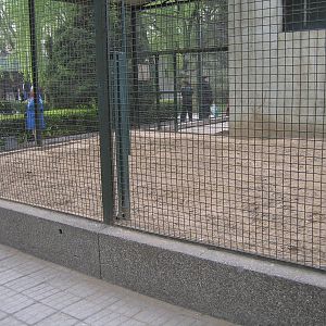 Kangaroo enclosure - Beijing Zoo