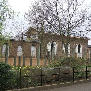Cotton Terrace/Decimus Burton House/Into Africa at London Zoo