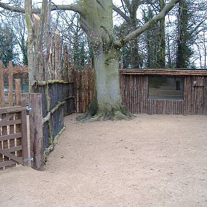 Twycross Malayan Tapir Enclosure