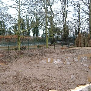 Twycross Malayan Tapir Enclosure