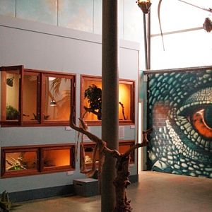 Sauria Jan-2009 (Reptilezoo in Delft)