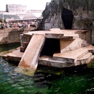 Amsterdam Zoo Polar Bear enclosure, 2000