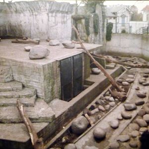 Amsterdam Zoo Sloth Bear Enclosure, 2000