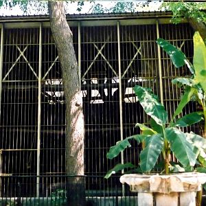 Rome Zoo Chimp cage